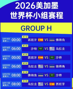 分组抽签C组分析